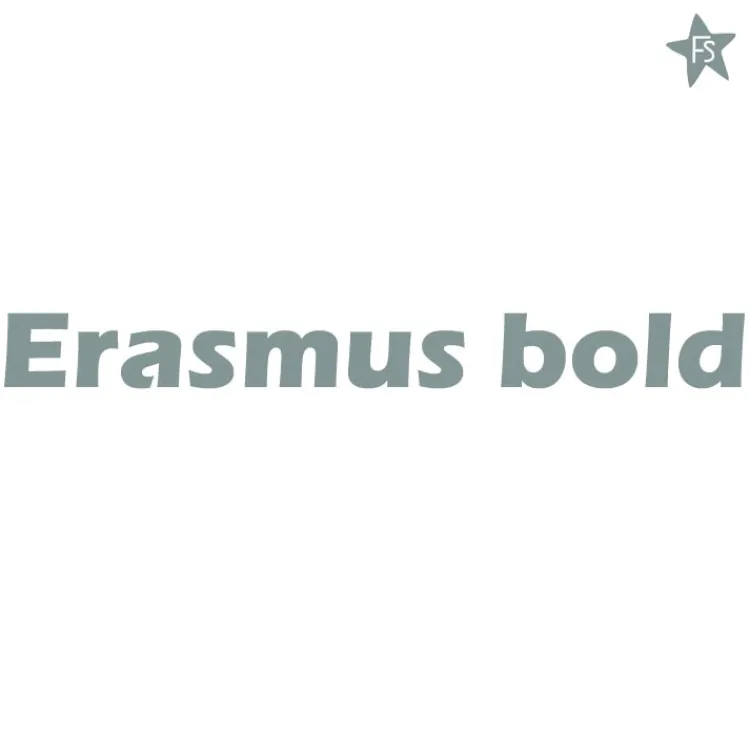 Hot Naamsticker | Tekst sticker | Lettertype Erasmus Bold Cadeaus Tot 10 Euro